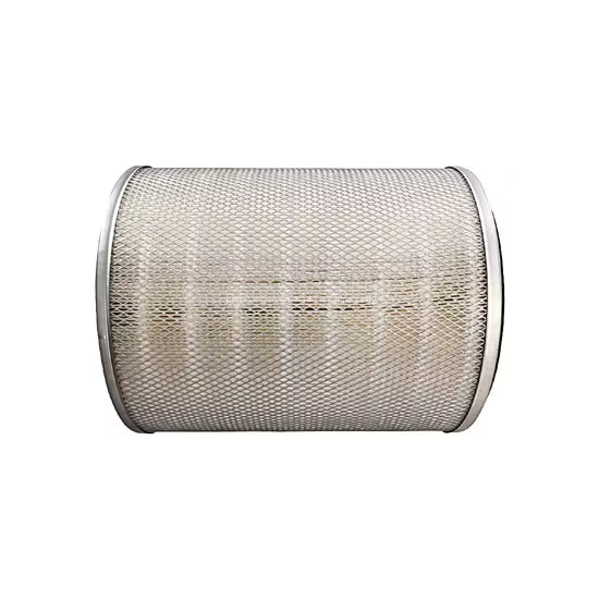 286609139901N AIR FILTER